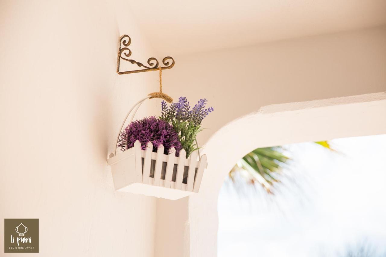 Li Pumi Bed & Breakfast Alliste Luaran gambar